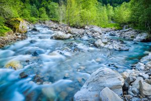 Die Natur im Departement Haut-Loire darf man gewiss als außergewöhnliches Naturschauspiel ansehen.  Das angenehme Klima macht den Aufenthalt zudem sehr angenehm. (#5)