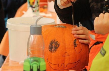 Zwei Herbstferiencamps in Brandenburg bieten vielseitige Programme für (Foto: Thalia Sporleder .  KiEZ Hölzerner See)